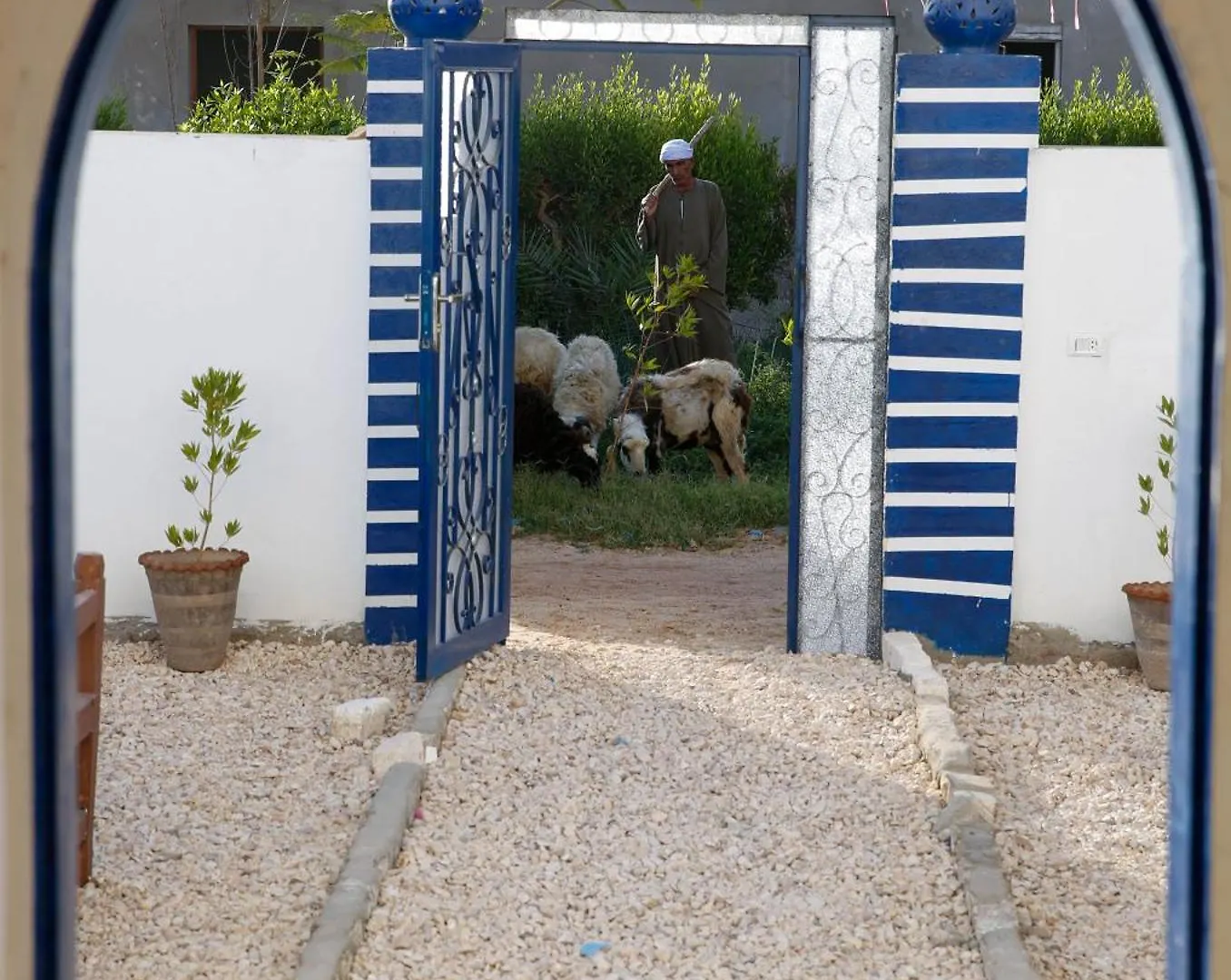 Ξενοδοχείο Sharqotel Λούξορ